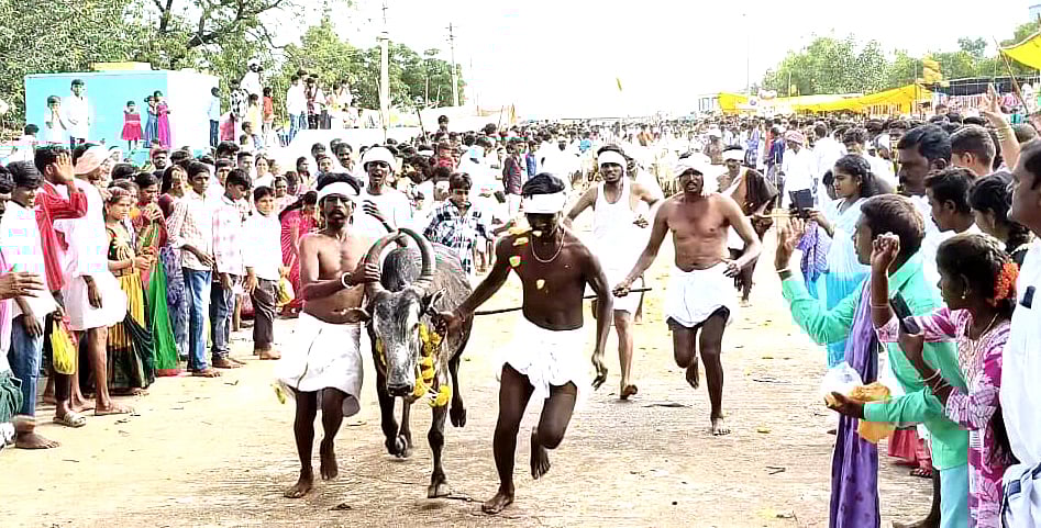 ಚಿತ್ರದುರ್ಗ: ಕಂಪಳರಂಗ ಸ್ವಾಮಿ ಜಾತ್ರೆ ವೈಭವದ ಆಚರಣೆ