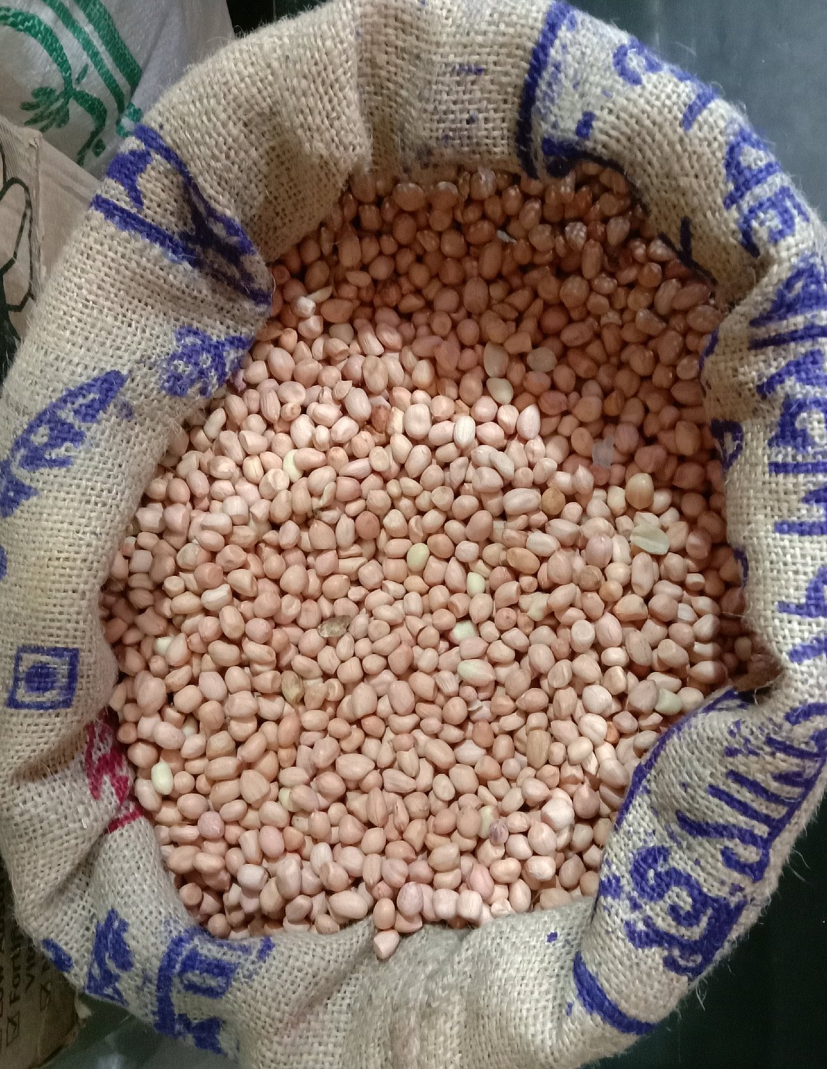 ತುಮಕೂರು| ಶೇಂಗಾ ಕೆ.ಜಿ ₹200ಕ್ಕೆ ಜಿಗಿತ: ಬೇಳೆ, ಬ್ಯಾಡಗಿ ಮೆಣಸು, ಮೀನು ದುಬಾರಿ