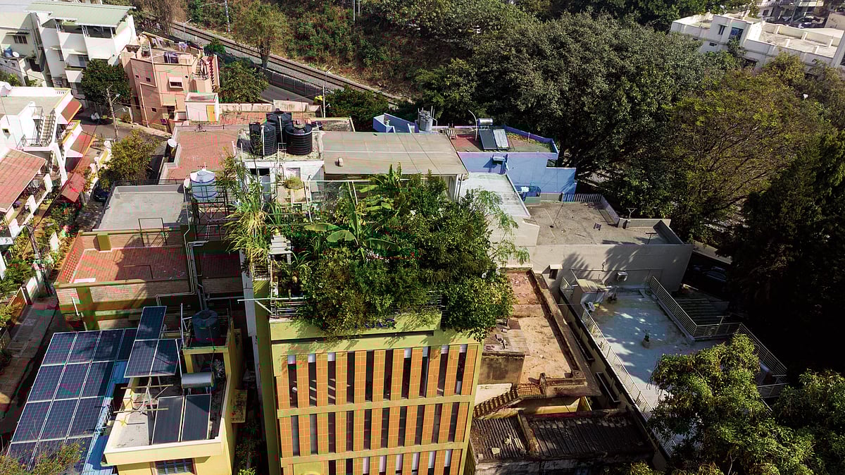 ಬೆಂಗಳೂರಲ್ಲೊಂದು ತಾರಸಿ ತೋಟ: ಕಾಫಿ, ಕಬ್ಬು, ಬಾಳೆ, ಸಪೋಟ... ಏನುಂಟು ಏನಿಲ್ಲ?