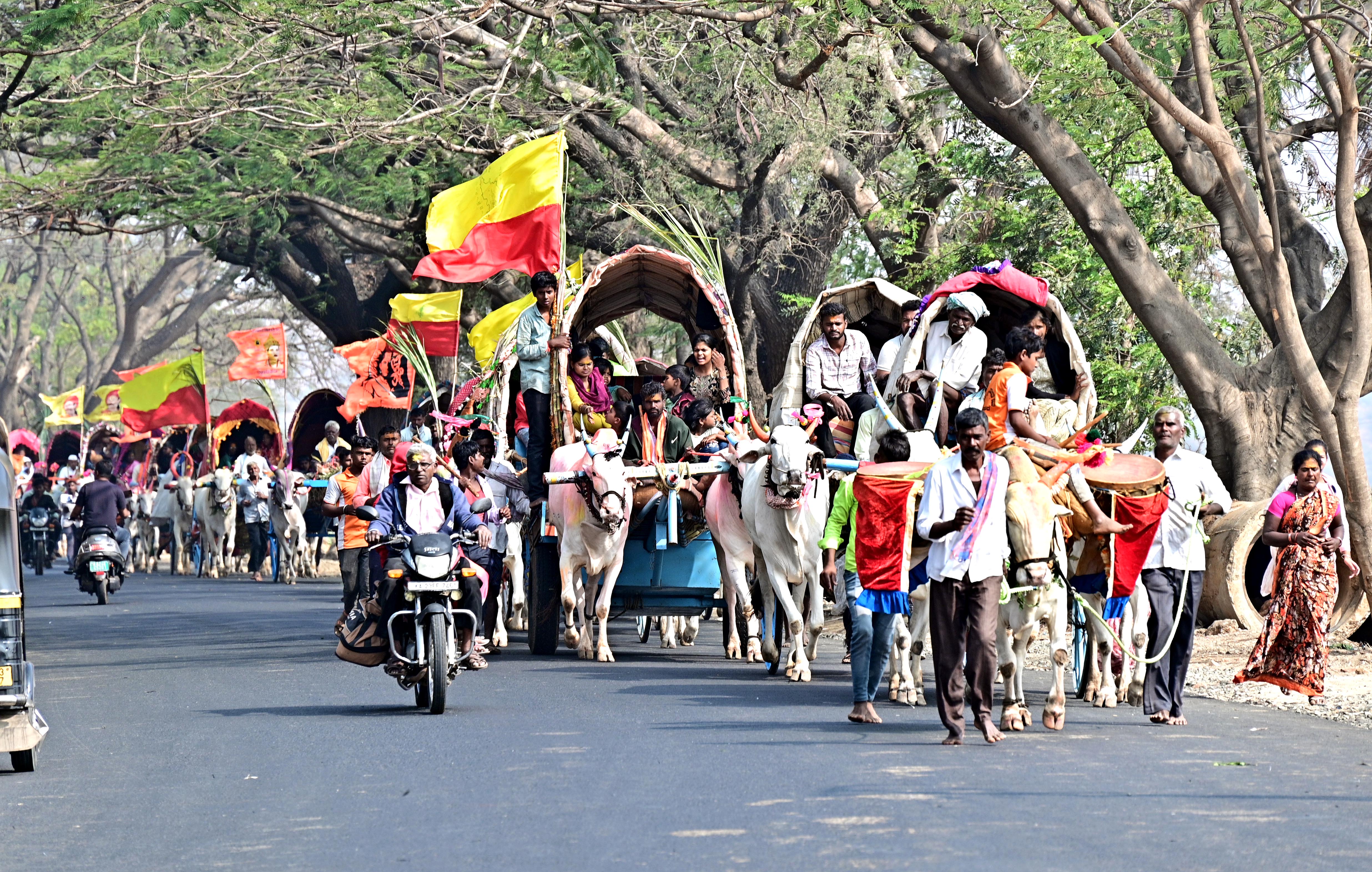 ಭಾರತ ಹುಣ್ಣಿಮೆ ಪ್ರಯುಕ್ತ ಯಲ್ಲಮ್ಮನಗುಡ್ಡಕ್ಕೆ ಬರುತ್ತಿರುವ ಅಲಂಕೃತ ಚಕ್ಕಡಿಗಳ ಸಾಲು ಸವದತ್ತಿ–ಮುನವಳ್ಳಿ ರಸ್ತೆಯಲ್ಲಿ ಶನಿವಾರ ಕಂಡಿದ್ದು ಹೀಗೆ   
ಪ್ರಜಾವಾಣಿ ಚಿತ್ರ: ಗೋವಿಂದರಾಜ ಜವಳಿ