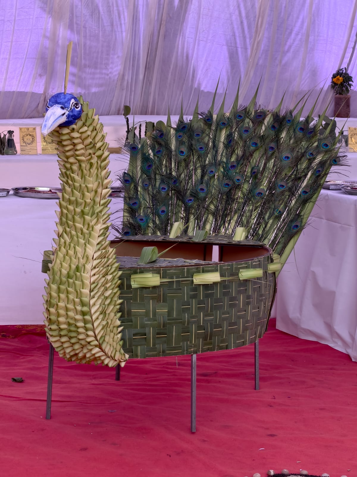 ತೆಂಗಿನ ಗರಿಗಳಲ್ಲಿ ಅರಳಿದ ನವಿಲು 