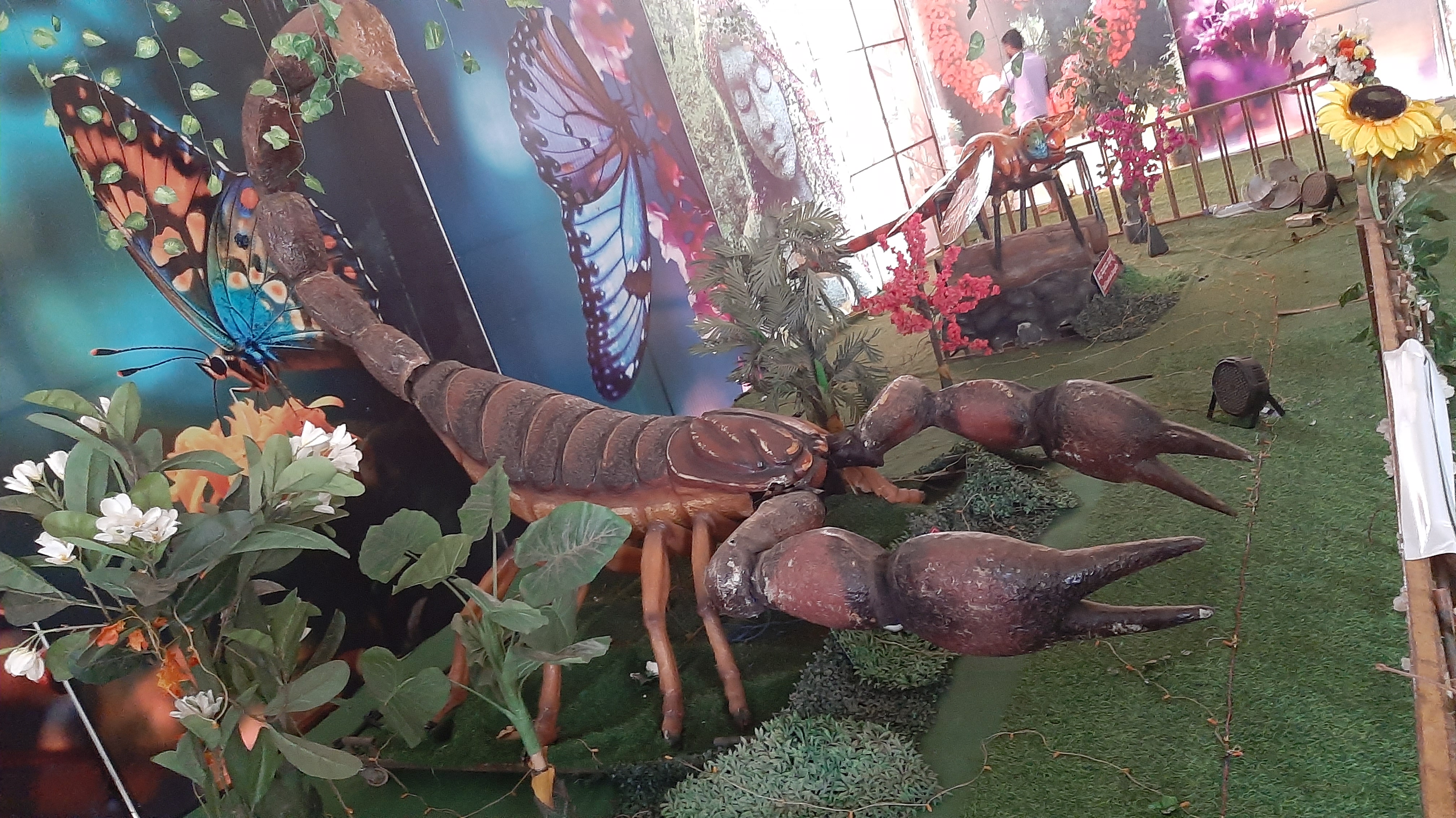 ವಿರಾಟ್‌ ಚೇಳು