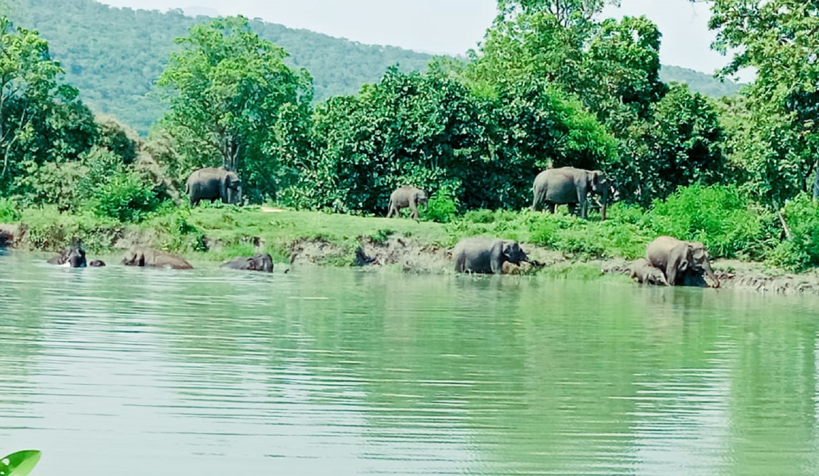 ಬಂಡೀಪುರ ಹುಲಿ ಸಂರಕ್ಷಿತ ವ್ಯಾಪ್ತಿಯ ಜಲಮೂಲ (ಸಂಗ್ರಹ ಚಿತ್ರ)