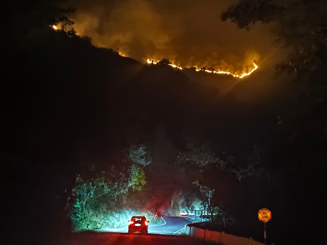 ಮೂಡಿಗೆರೆ ತಾಲ್ಲೂಕಿನ ಚಾರ್ಮಾಡಿ ಘಾಟಿಯಲ್ಲಿ ಜನವರಿ 18ರಂದು ಕಾಣಿಸಿಕೊಂಡಿದ್ದ ಕಾಳ್ಗಿಚ್ಚು