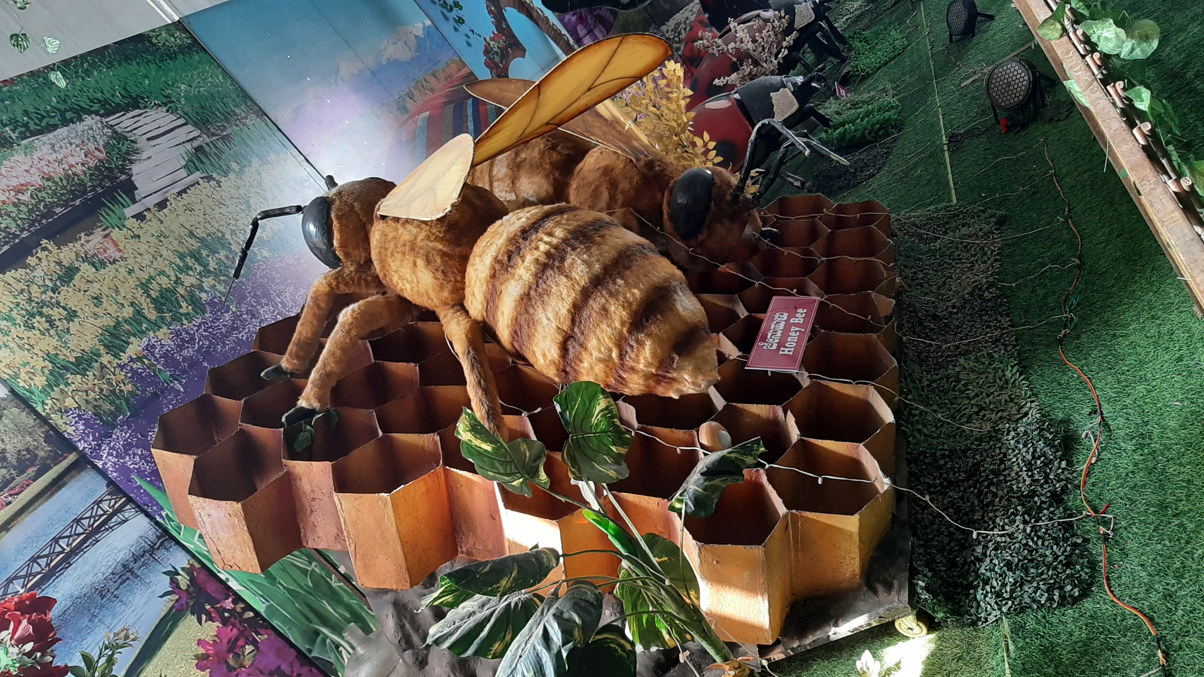 ಗೂಡುಕಟ್ಟುತ್ತಿರುವ ಜೇನುನೊಣಗಳು