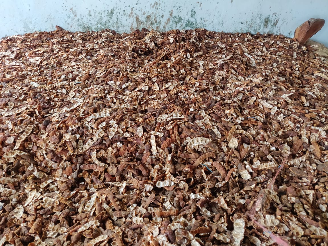 ಹುಣಸೆ ಹಣ್ಣು