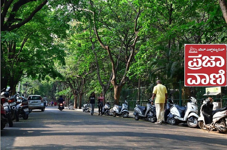 PV Web Exclusive| ಉದ್ಯಾನ ನಗರದಲ್ಲಿ ಎಷ್ಟು ಮರಗಳಿವೆ? ಸಮೀಕ್ಷೆ ಹೇಳುವುದು ಏನು?