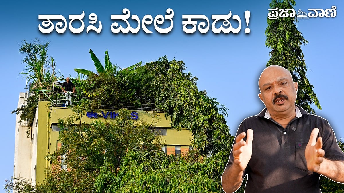 600 ಚದರ ಅಡಿ ತಾರಸಿಯಲ್ಲಿ 100ಕ್ಕೂ ಹೆಚ್ಚು ಗಿಡಗಳು: ವೆಂಕಟ್‌ ಅವರ ಹಸಿರು ಸಾಹಸ