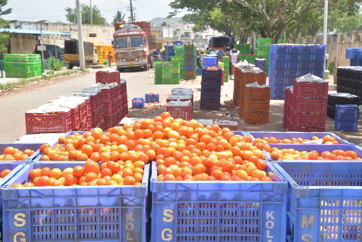 ಕೋಲಾರ: 5 ಕೆ.ಜಿ ಟೊಮೆಟೊಗೆ ₹100