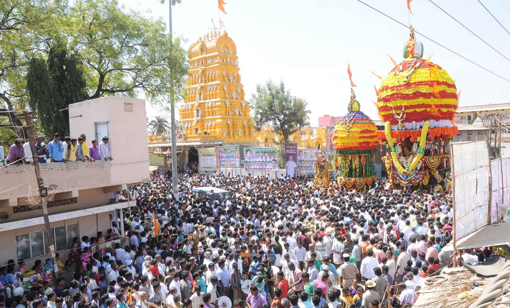 ರಥಗಳನ್ನು ಎಳೆಯಲು ಸಿದ್ದಪಡಿಸಿರುವುದು