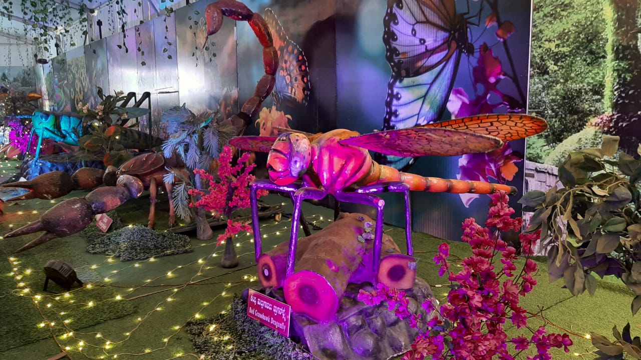  ರೊಬೊಟಿಕ್‌ ಕೀಟಗಳ ಪ್ರದರ್ಶನದಲ್ಲಿ ಗಮನ ಸೆಳೆದ ಕೀಟ (ಚಿಡ್ಡಾ)