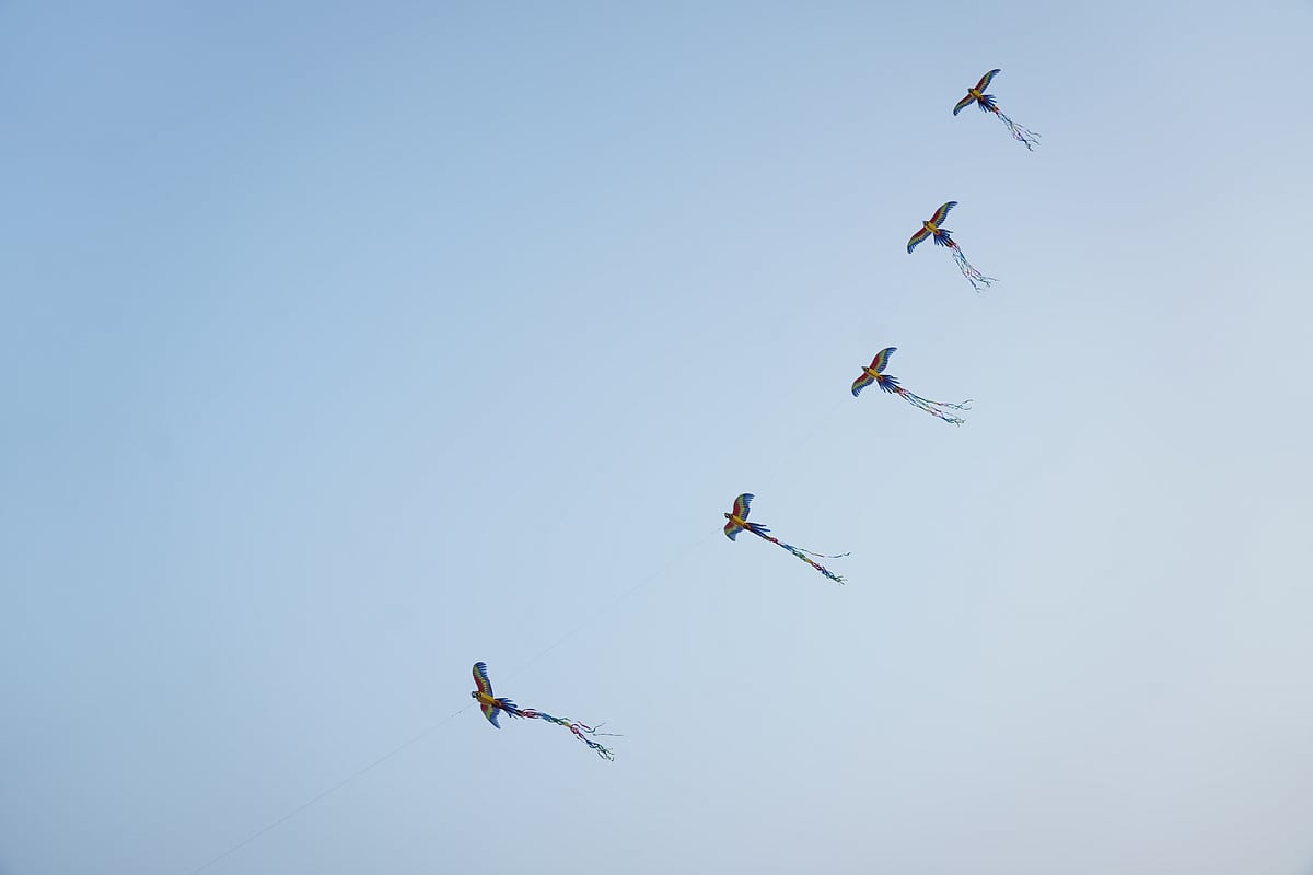 ಕೆರೆ ಹಬ್ಬ: ಬಾನಲ್ಲಿ ತೇಲಾಡಿದ ಗರುಡ, ಗಿಳಿಗಳ ಹಿಂಡು