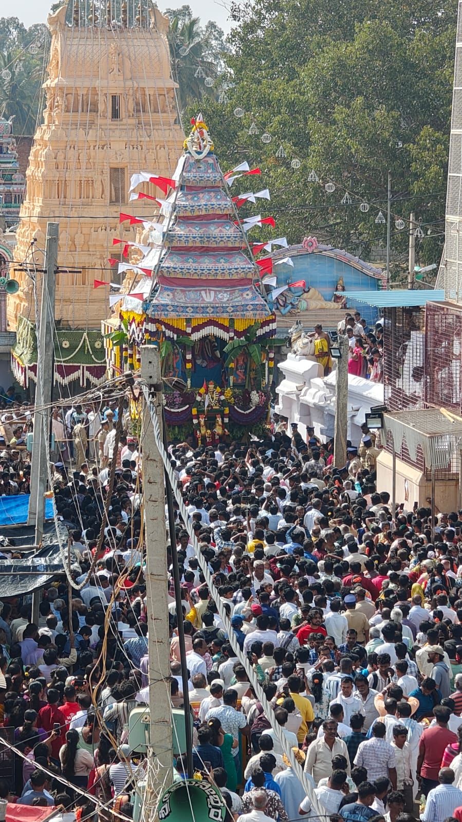 ವೇಣುಗೋಪಾಲ ರಥೋತ್ಸವ