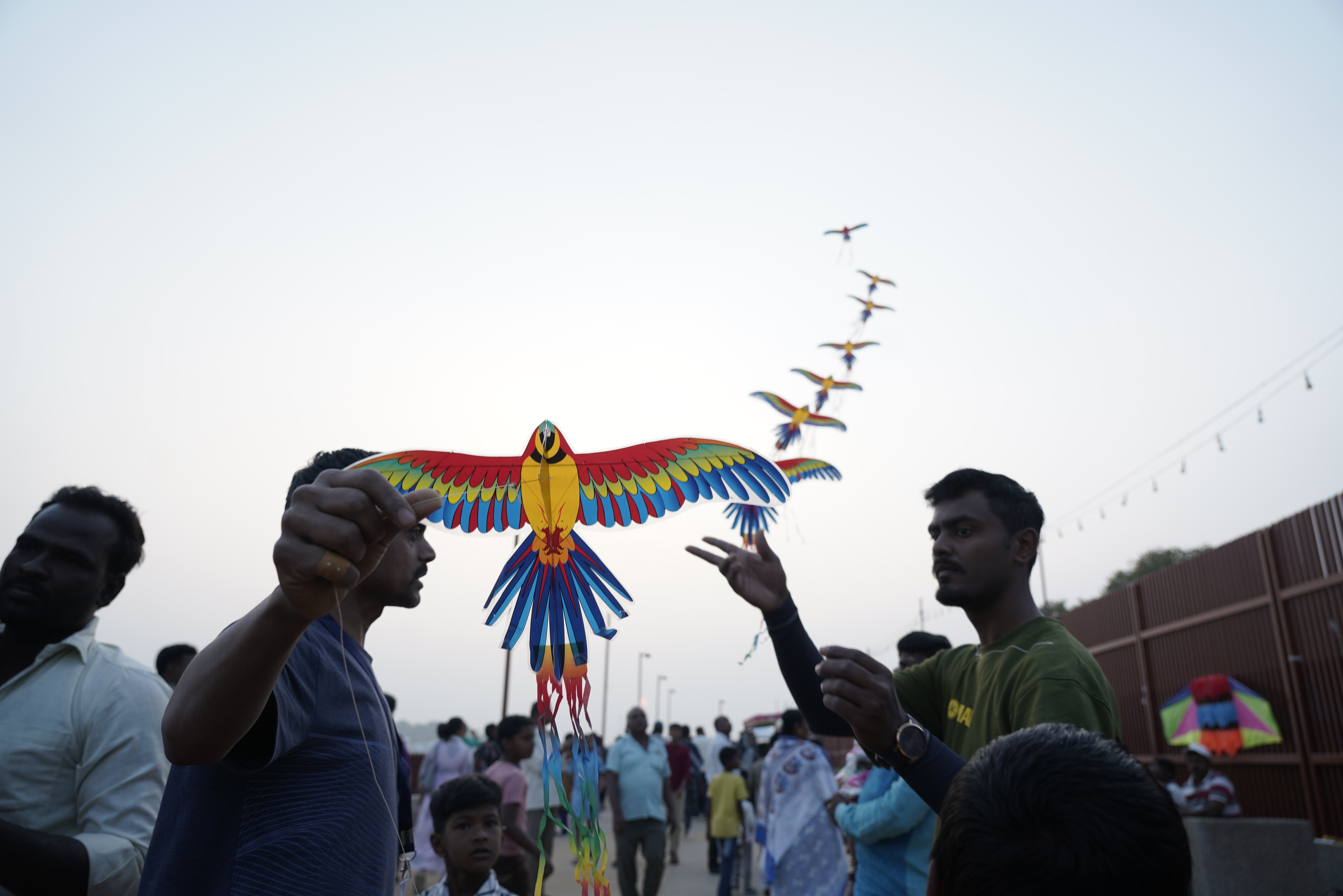 ರಾಯಚೂರಿನ ಮಾವಿನ ಕೆರೆಯ ಮೇಲೆ ಹಾರಾಡಿದ ಗಾಳಿಪಟದ ಬಣ್ಣದ ಗಿಳಿಗಳು ಒಂದೊಂದಾಗಿ ಆಕಾಶದತ್ತ ಹಾರಿದವು / ಚಿತ್ರ: ಶ್ರೀನಿವಾಸ ಇನಾಂದಾರ್