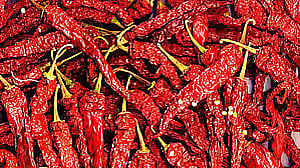 ಬ್ಯಾಡಗಿ ಮೆಣಸಿನಕಾಯಿ ಬೆಲೆ ಏರಿಕೆ