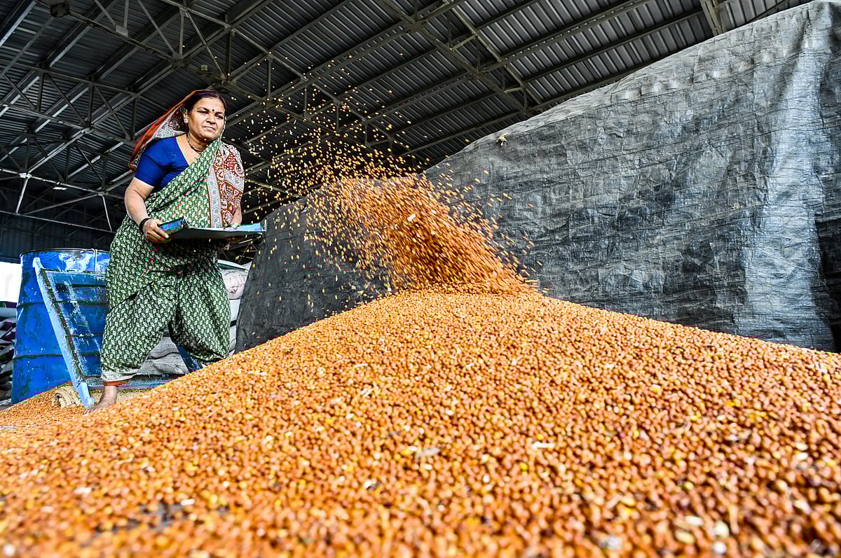 ತೊಗರಿ ದರ ತಿಂಗಳಲ್ಲಿ ₹1,300 ಜಿಗಿತ: ಖರೀದಿ ಕೇಂದ್ರಗಳತ್ತ ಸುಳಿಯದ ಬೆಳೆಗಾರರು