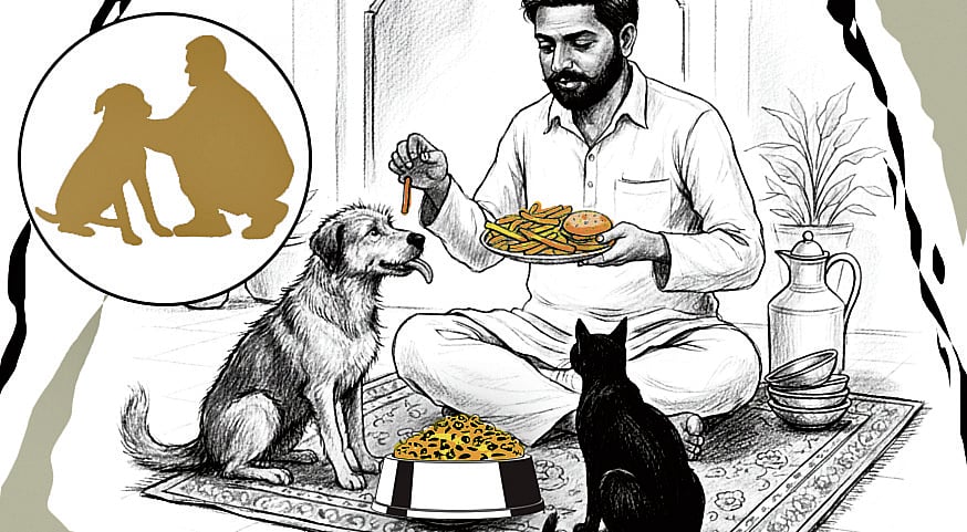 ವಿಶ್ಲೇಷಣೆ: ಅತಿ ಪ್ರೀತಿ, ಪ್ರಾಣಿಗಳಿಗೆ ವಿಷ; ನಾಯಿಗಳಿಗೂ ಜೀವನಶೈಲಿ ಕಾಯಿಲೆ!