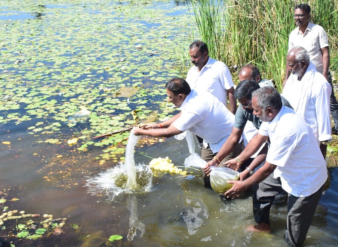 ಮಹಿಳೆಯರು ಸ್ವಯಂ ಉದ್ಯೋಗ ರೂಪಿಸಿಕೊಳ್ಳಲಿ: ಎ.ಬಿ.ರಮೇಶ್‌ ಬಂಡಿಸಿದ್ದೇಗೌಡ 