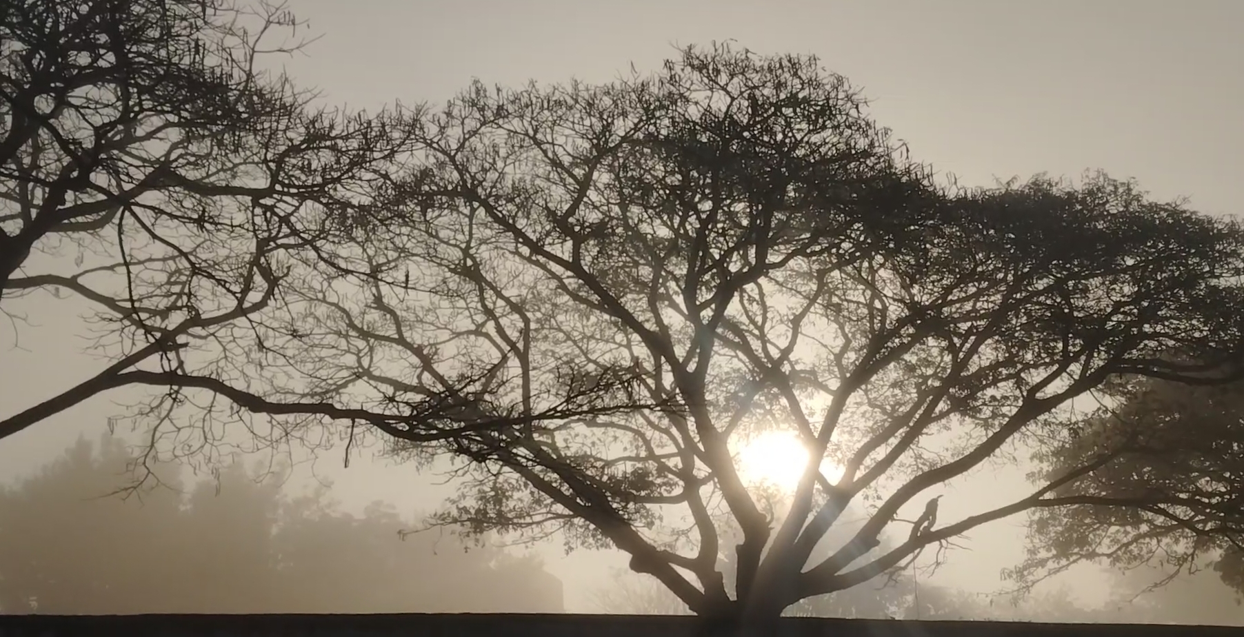 ಚಿಂತಾಮಣಿ ತಾಲ್ಲೂಕಿನ ಕೈವಾರದಲ್ಲಿ ದಟ್ಟ ಮಂಜು ಸೀಳಿಕೊಂಡು ಉದಯಿಸುತ್ತಿರುವ ಸೂರ್ಯ