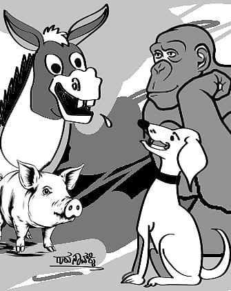 ಚುರುಮುರಿ: ಕೋತಿಗಳೂ ನಾಯಿಗಳೂ