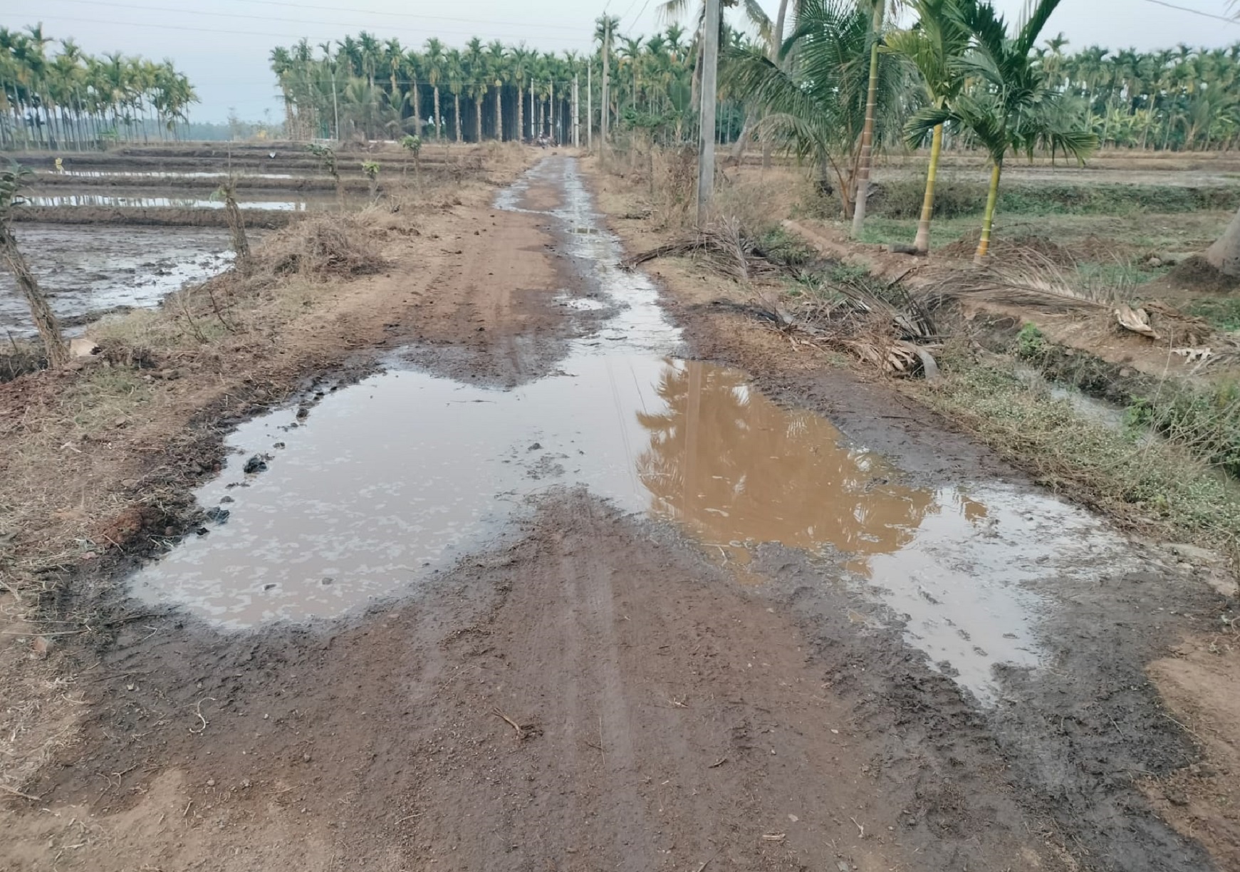 ಕಡರನಾಯ್ಕನಹಳ್ಳಿ ಸಮೀಪದ ಹಳ್ಳಿಹಾಳ್ ರಸ್ತೆಯಲ್ಲಿ ಗುಂಡಿ ಮುಚ್ಚುವ ಕಾಮಗಾರಿ ಅಪೂರ್ಣಗೊಂಡಿರುವುದು