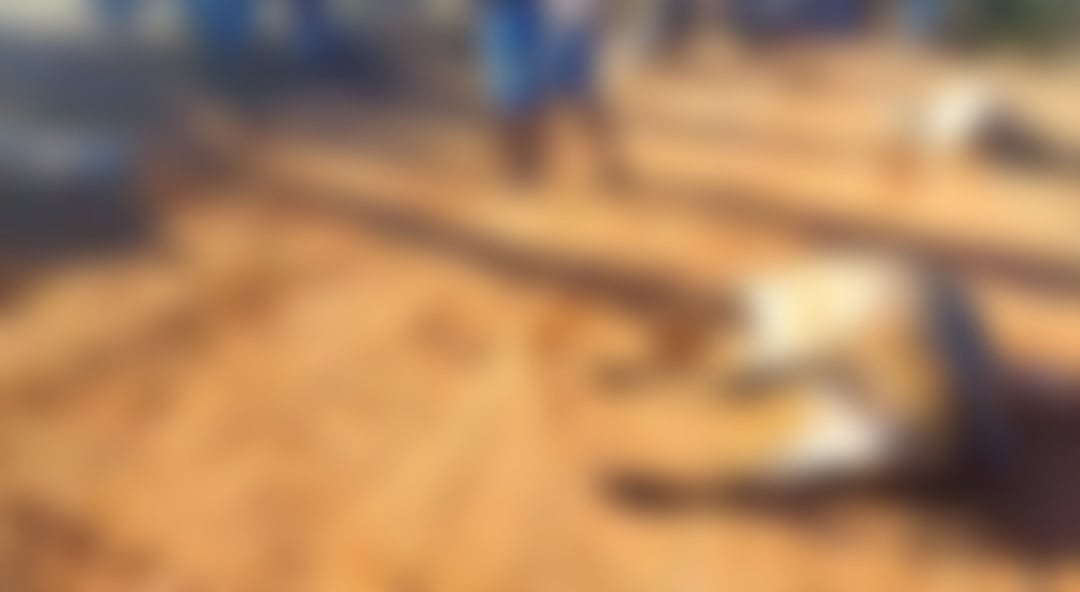 ಹನೂರು ತಾಲ್ಲೂಕಿನ ಶೆಟ್ಟಳ್ಳಿಯಲ್ಲಿ 6 ಹಸುಗಳು ಅನುಮಾನಾಸ್ಪದವಾಗಿ ಸಾವು