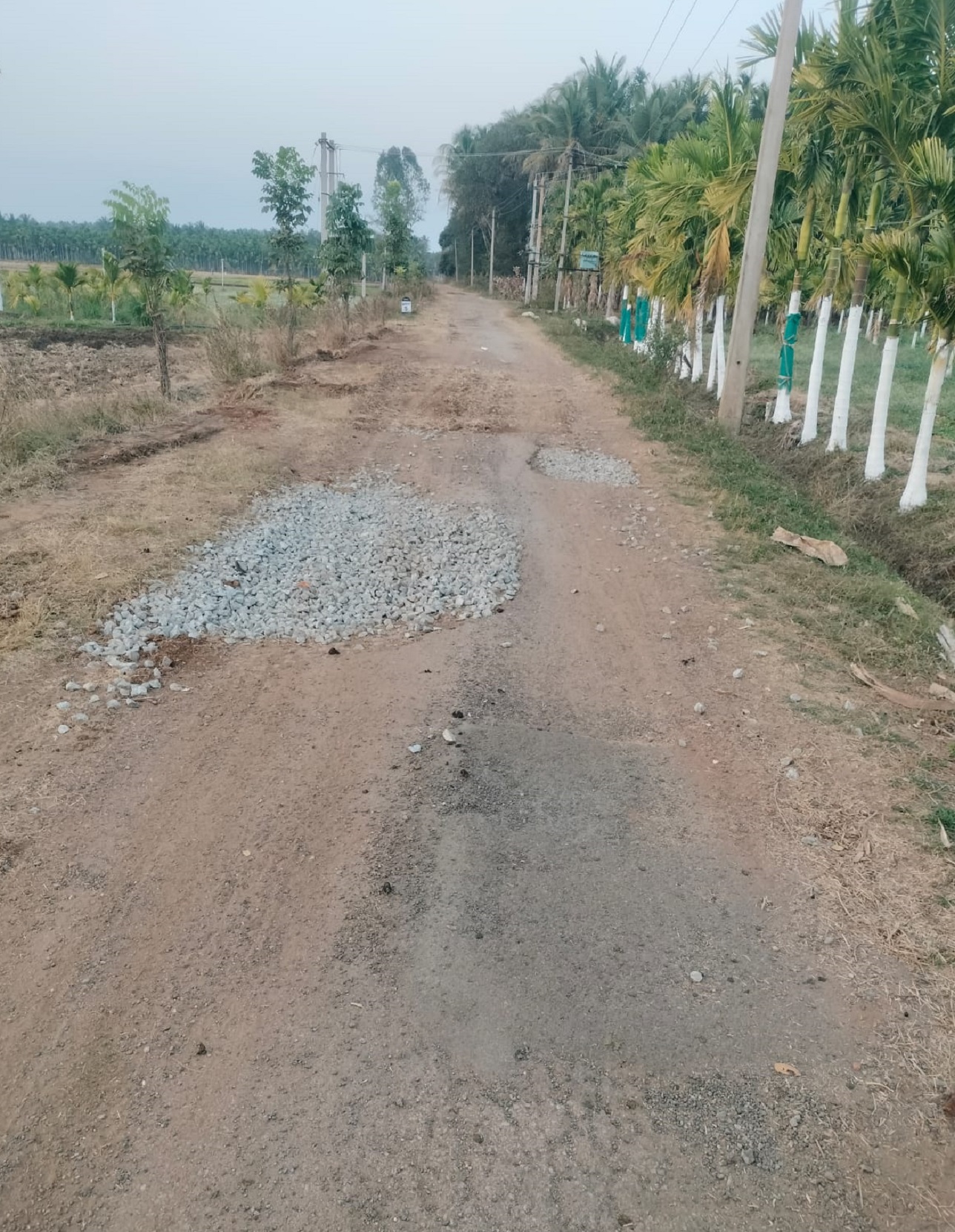 ಕಡರನಾಯ್ಕನಹಳ್ಳಿ ಸಮೀಪದ ಹಳ್ಳಿಹಾಳ್ ರಸ್ತೆಯಲ್ಲಿ ಗುಂಡಿ ಮುಚ್ಚುವ ಕಾಮಗಾರಿ ಅಪೂರ್ಣಗೊಂಡಿರುವುದು