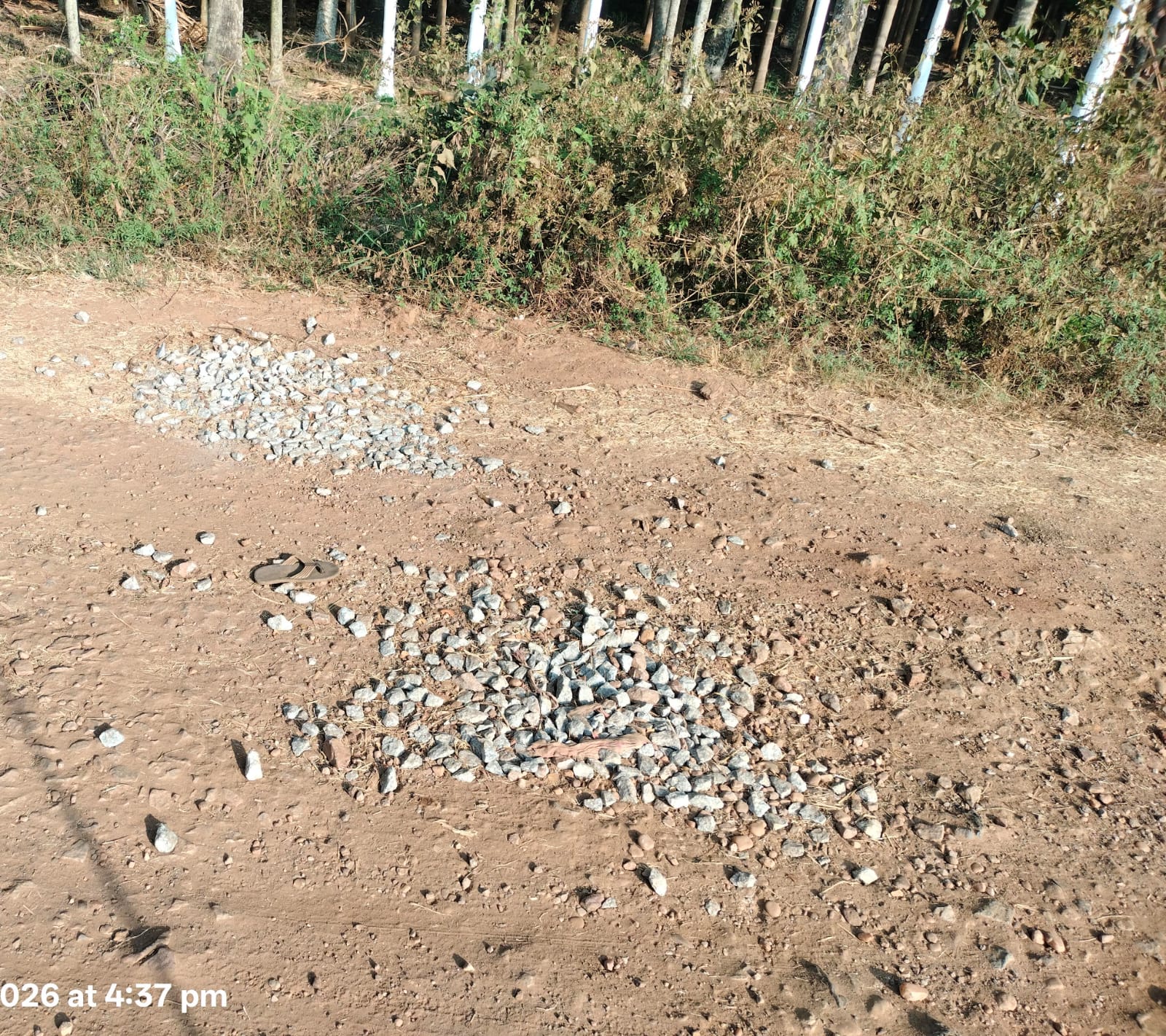 ಜೆಲ್ಲಿ ಹಾಕಿರುವುದು