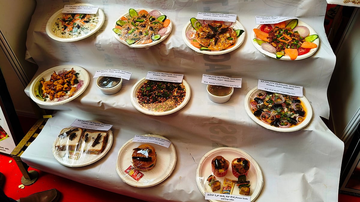 ರಾಯಚೂರು | ಕೃಷಿ ಮೇಳದಲ್ಲಿ ಕೀಟಗಳ ಖ್ಯಾದ…!!