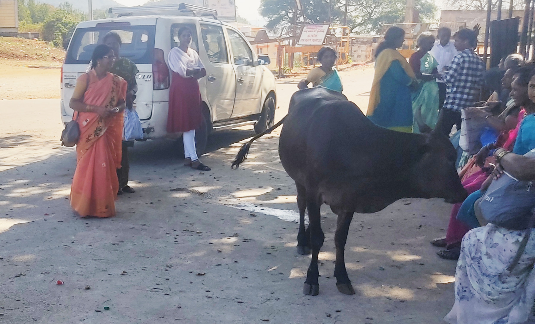 ಬಸ್ ನಿಲ್ದಾಣದಲ್ಲಿ ಭಕ್ತರ ನಡುವೆ ನುಗ್ಗಿದ ದನ