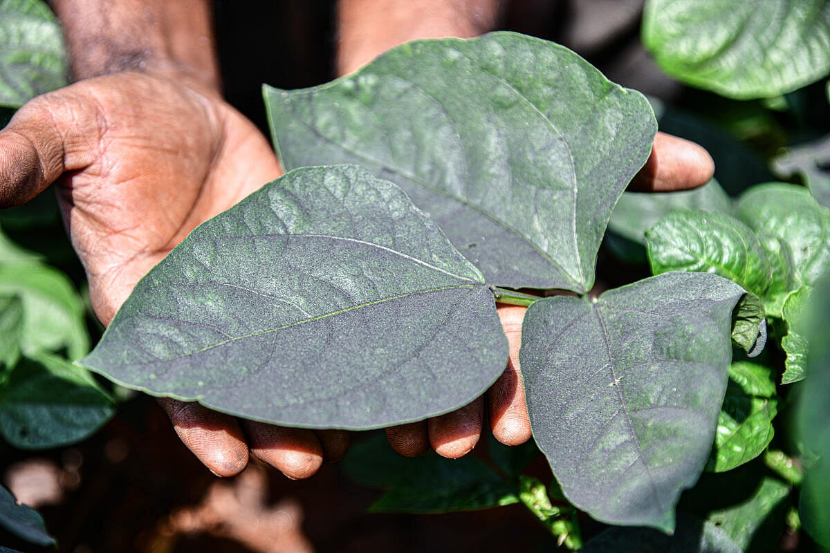 ಹೋರಾಟಕ್ಕೆ 100 ದಿನ; ನಿರೀಕ್ಷೆಗಳೂ ನೂರಾರು