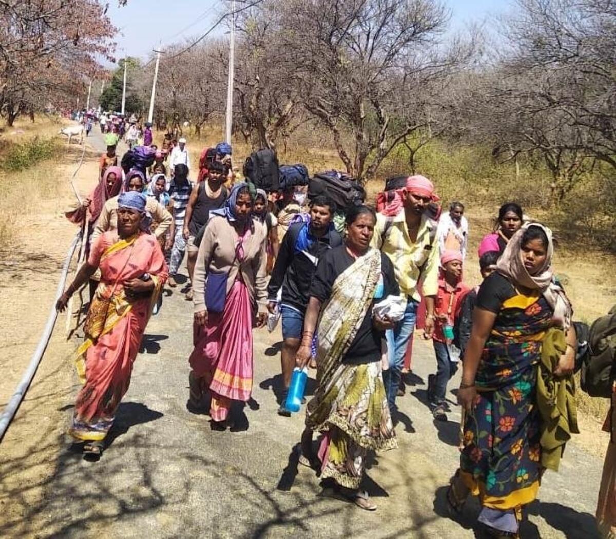 ಕಾಡಿನ ಹಾದಿಯಲ್ಲಿ ಮಲೆ ಮಹದೇಶ್ವರನ ಬೆಟ್ಟಕ್ಕೆ ಪಾದಯಾತ್ರೆ ಹೊರಟಿರುವ ಭಕ್ತರು