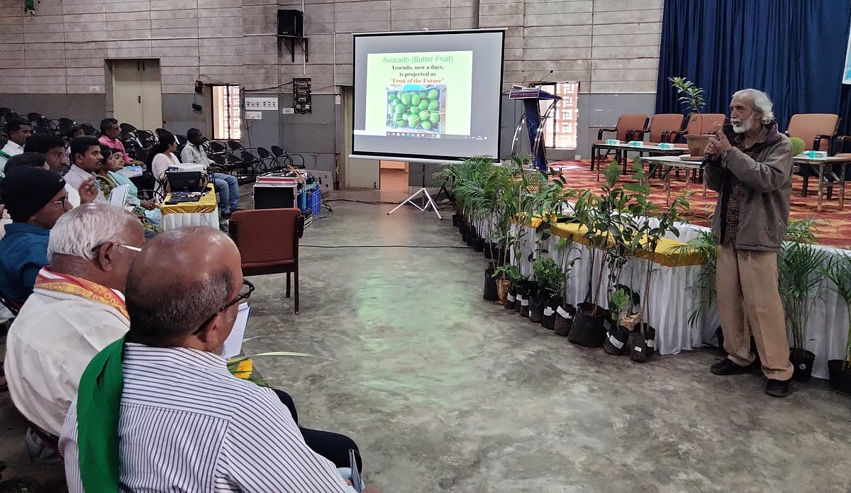 ಭವಿಷ್ಯದ ಬೇಡಿಕೆಯ ಹಣ್ಣು ಬೆಳೆಯಿರಿ: ಡಾ. ಹಿತ್ತಲಮನಿ 