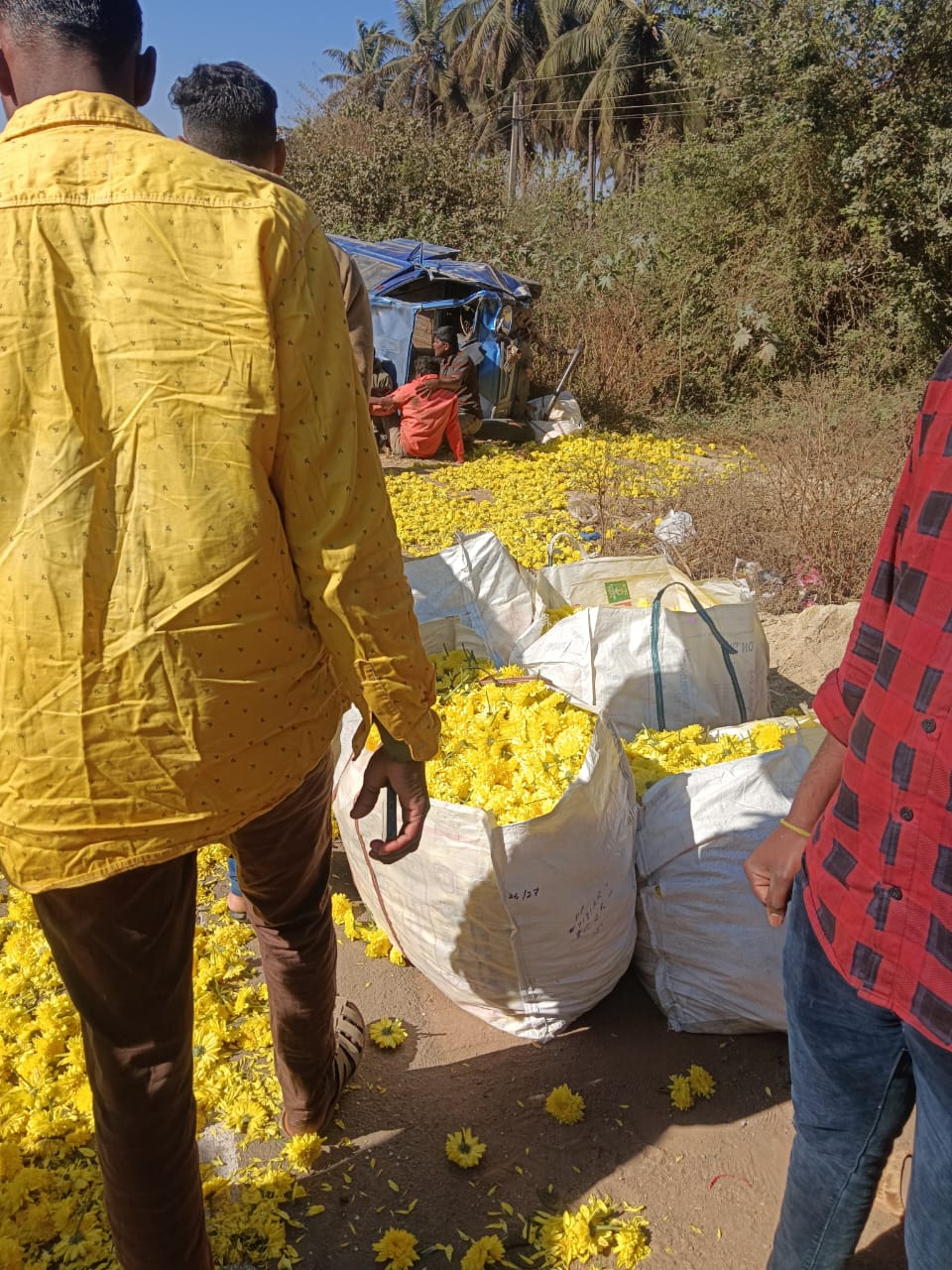 ಅಪಘತಾದಲ್ಲಿ ಹೂ ರಸ್ತೆಗೆ ಬಿದ್ದಿರುವುದು