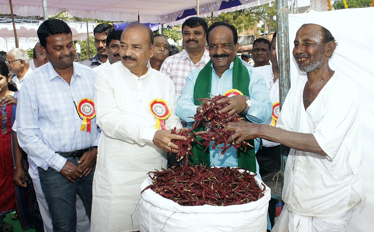 ವಾಣಿಜ್ಯ ಬೆಳೆ ಬೆಳೆಯಲು ರೈತರು ಮುಂದಾಗಲಿ:  ಶಾಸಕ ಎನ್.ಎಚ್.ಕೋನರಡ್ಡಿ
