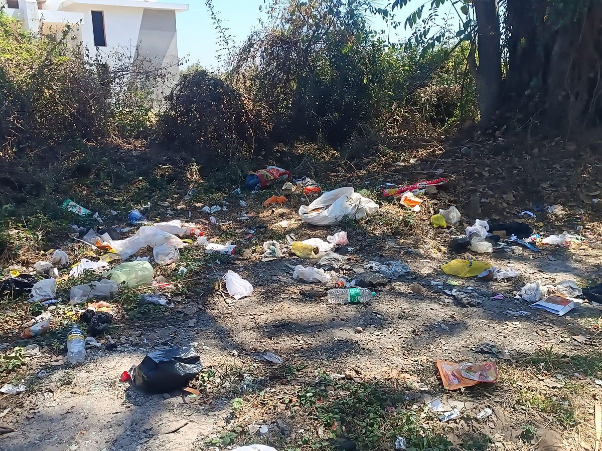 ಚಿಕ್ಕಮಗಳೂರು: ಉಪ್ಪಳ್ಳಿ ರಸ್ತೆ ಬದಿ ಎಲ್ಲೆಲ್ಲೂ ಕಸ
