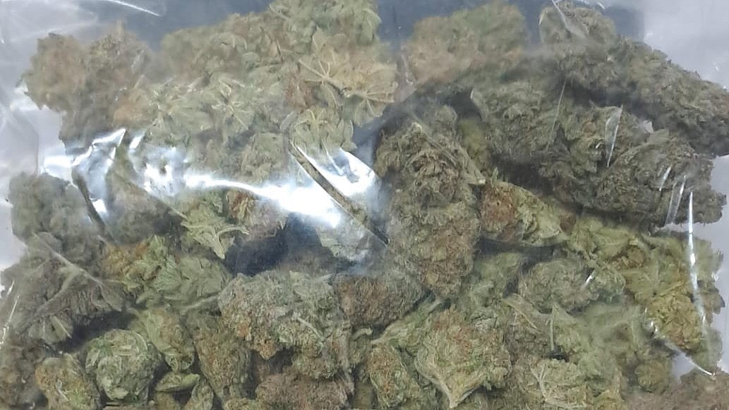 ದೇವನಹಳ್ಳಿ ವಿಮಾನ ನಿಲ್ದಾಣದಲ್ಲಿ 3 ಕೆ.ಜಿ ಹೈಡ್ರೊ ಗಾಂಜಾ ವಶ