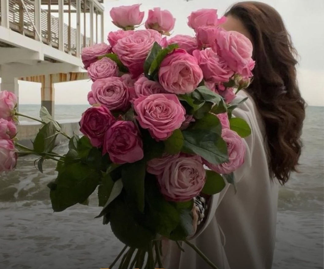 ಗುಲಾಬಿ ಬಣ್ಣದ ಗುಲಾಬಿ