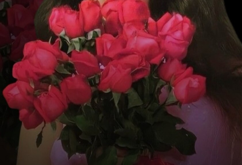 ಕೆಂಪು ಗುಲಾಬಿ