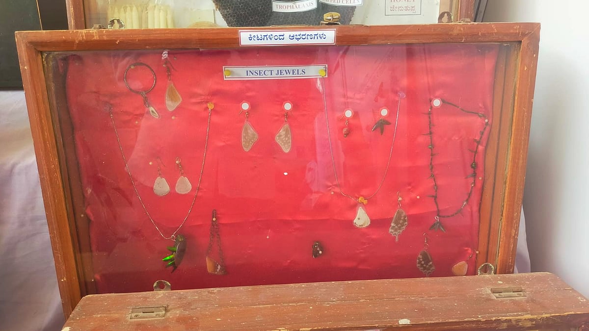 ಲಲನೆಯರಿಗೆ ಕೀಟಗಳಿಂದಲೂ ಜ್ಯುವೆಲರಿ!