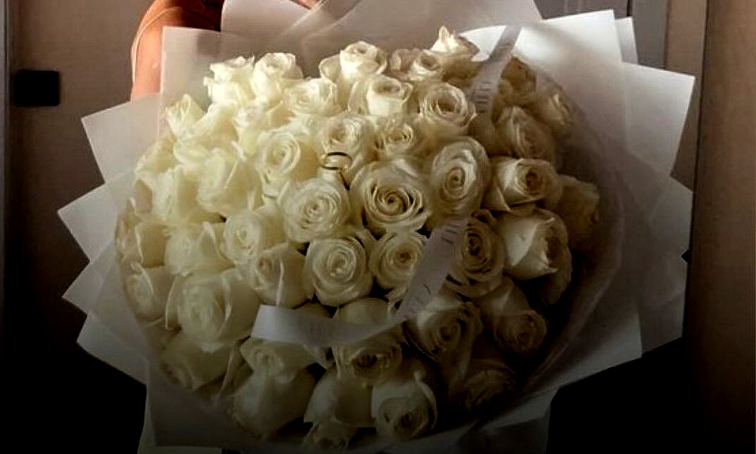 ಬಿಳಿ ಬಣ್ಣದ ಗುಲಾಬಿ