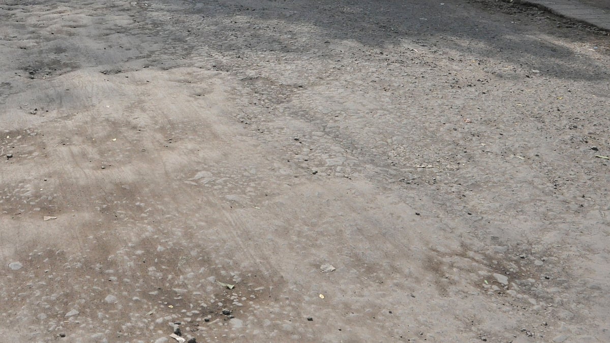 ನಗರಕ್ಕೆ ಮಾರಕ ಯೋಜನೆ ಸಲ್ಲದು: ಉಗ್ರನರಸಿಂಹೇಗೌಡ