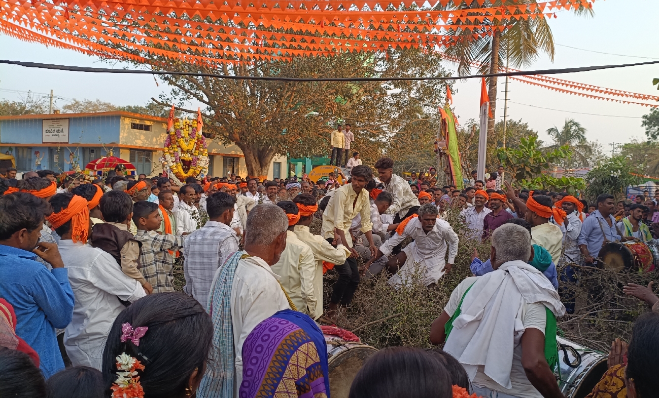 ಮುನಿರಾಬಾದ್ ಸಮೀಪ ಹೊಸಹಳ್ಳಿ ಗ್ರಾಮದಲ್ಲಿ ಮಾರುತೇಶ್ವರ ಜಾತ್ರೆಯ ಅಂಗವಾಗಿ ಭಾನುವಾರ ಮುಳ್ಳಿನಲ್ಲಿ ಹಾರಿ ಹರಕೆ ತೀರಿಸುವ