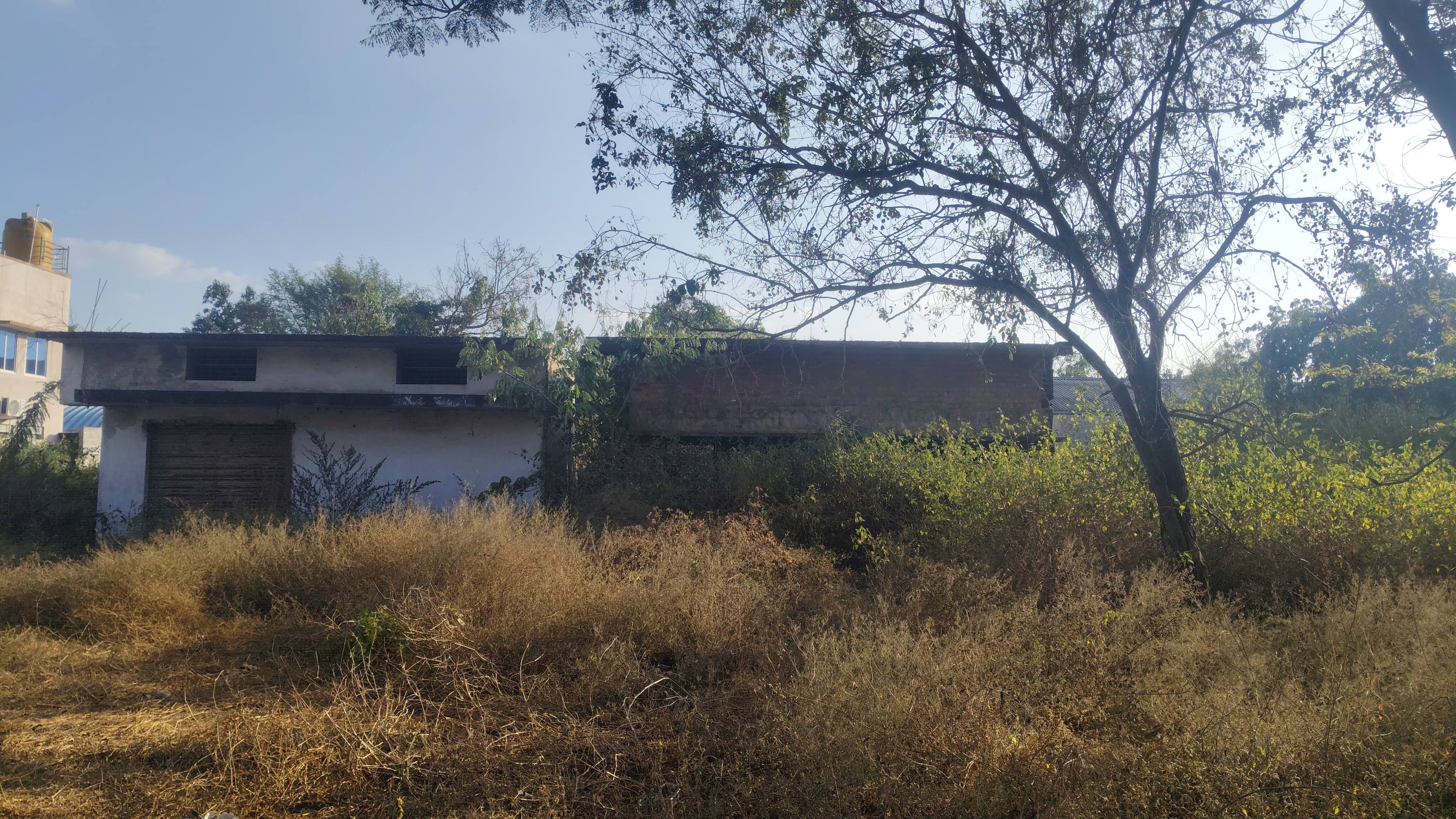  ಆವರಣದಲ್ಲಿ ಗಿಡಗಂಟಿಗಳು ಬೆಳೆದಿರುವುದು