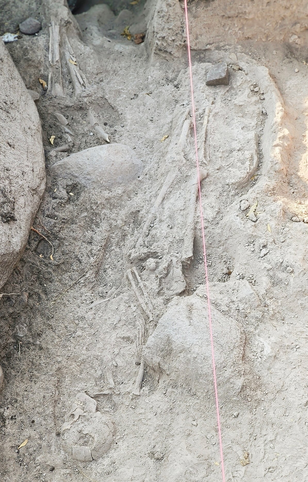 ತೆಕ್ಕಲಕೋಟೆ | ಆದಿಮಾನವನ 2ನೇ ಅಸ್ಥಿಪಂಜರ ಪತ್ತೆ