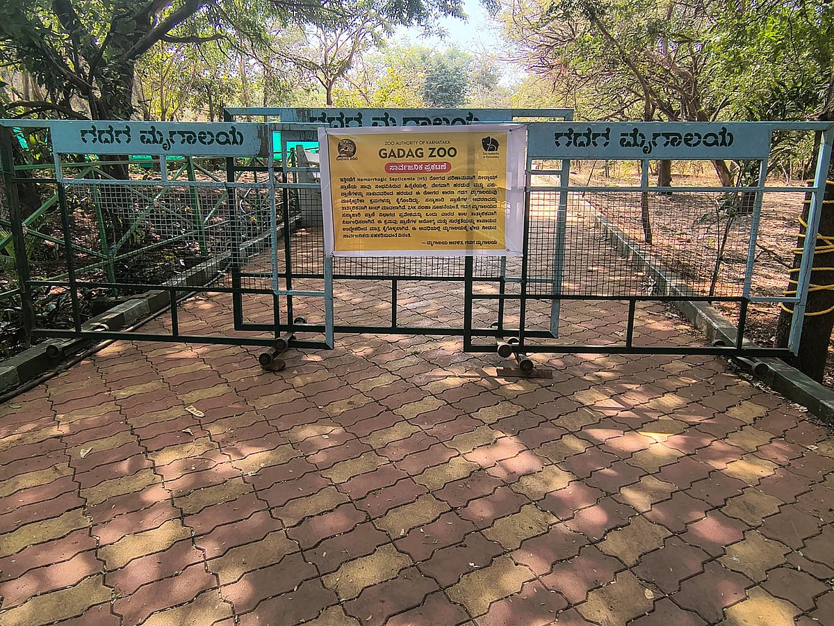 ಗಳಲೆ ರೋಗ: ಗದಗದ ಬಿಂಕದಕಟ್ಟಿ ಮೃಗಾಲಯದಲ್ಲಿ ಮುನ್ನೆಚ್ಚರಿಕೆ 