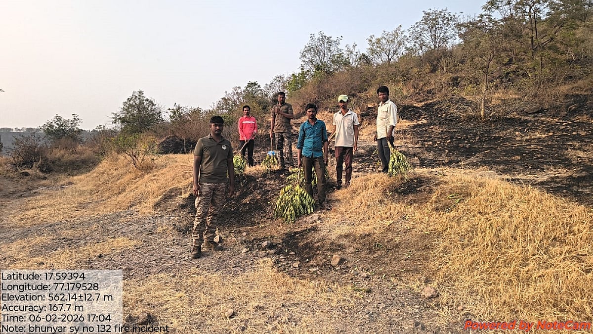 ಚಿಂಚೋಳಿ | ಅಕಸ್ಮಿಕ ಬೆಂಕಿಗೆ ಅರಣ್ಯ, ಕಾಡು ಆಹುತಿ