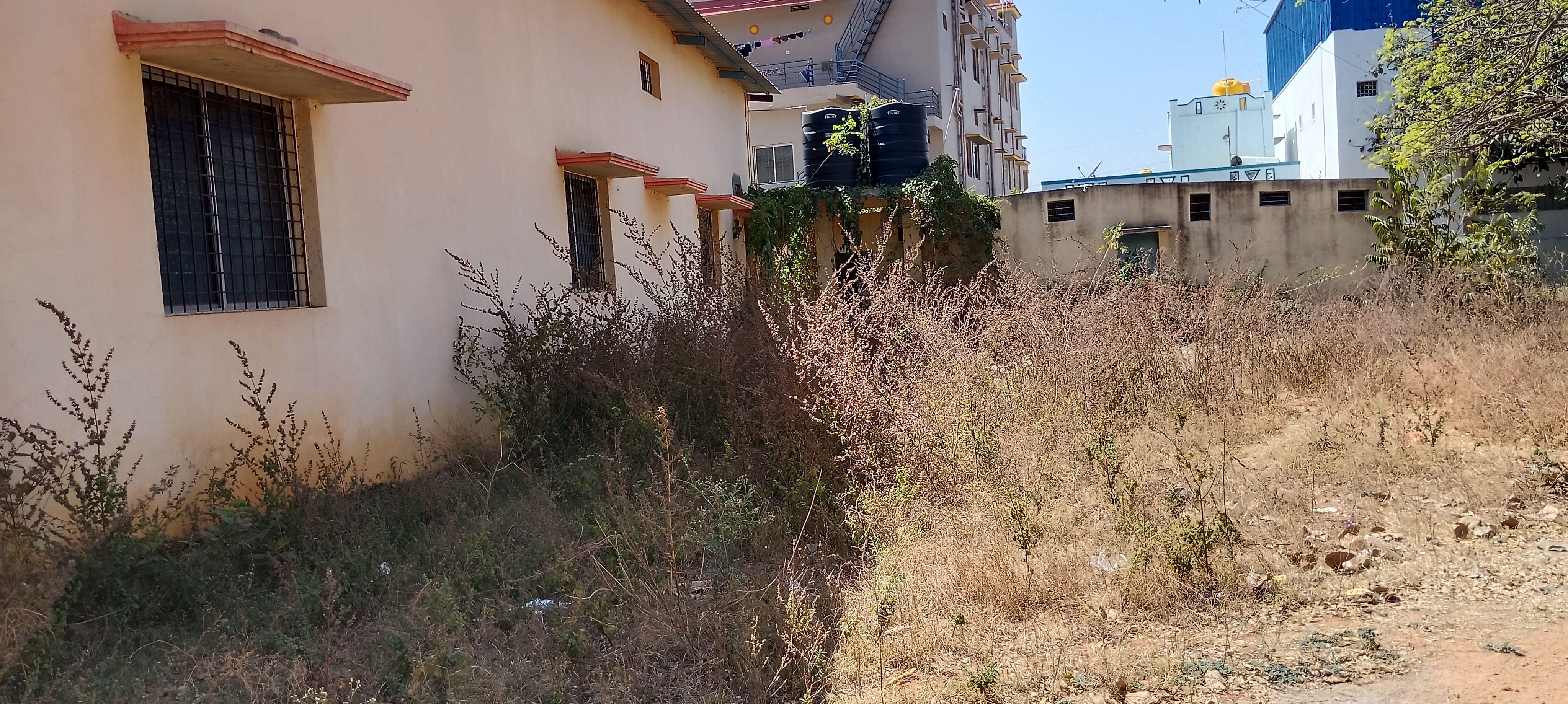 ಭವನವು ಗಿಡ ಗೆಂಟೆಗಳಿಂದ ಆವೃತವಾಗಿರುವುದು.