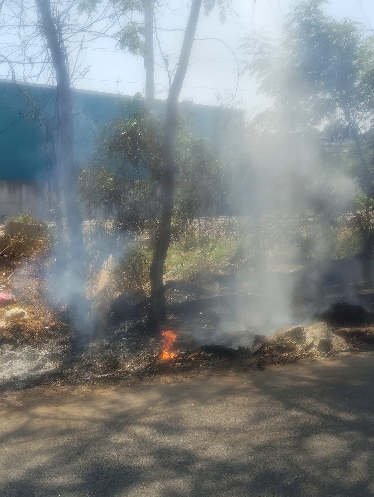 ರಾಜರಾಜೇಶ್ವರಿನಗರ: ಮರಗಳ ಬುಡಕ್ಕೆ ಬೆಂಕಿ