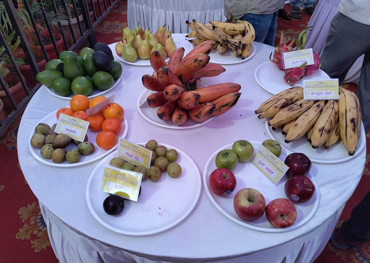 ಕೊಪ್ಪಳ:12ರಿಂದ ತರಹೇವಾರಿ ಹಣ್ಣುಗಳ ಮೇಳ